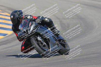media/Sep-25-2023-Moto Forza (Mon) [[81ffa65e0a]]/A Group/Session 2 (Turns 9 and 10)/
